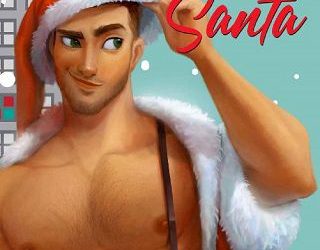 accidental santa celia aaron