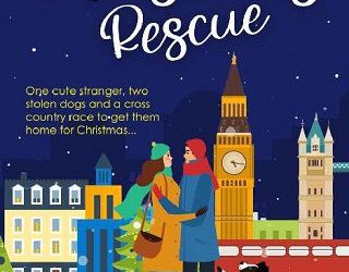 christmas rescue tilly hart