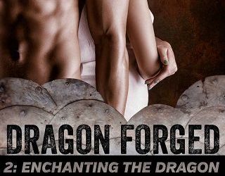 enchanting dragon rinelle grey