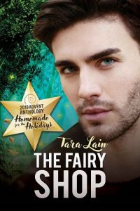 fairy shop, tara lain