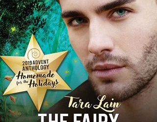 fairy shop tara lain