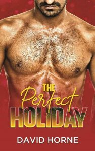 perfect holiday, david horne