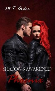 shadow's phoenix, mt ossler