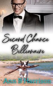 second chance, ann b harrison