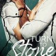 turn to stone ariana rose
