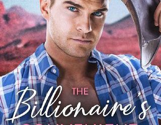 convenient bride holly rayner