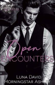 open encounters, luna david