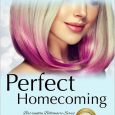 perfect homecoming danielle stewart