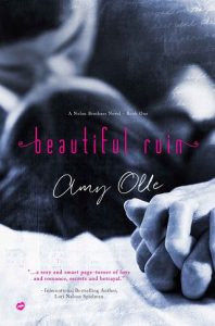 beautiful ruin, amy olle