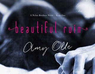 beautiful ruin amy olle