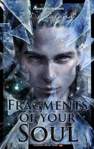 fragments soul, es erbsland