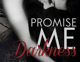 promise me darkness paige weaver