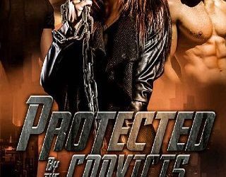 protected convicts julie k cohen