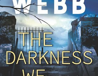 darkness we hide debra webb