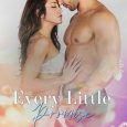 every little promise lexi ryan
