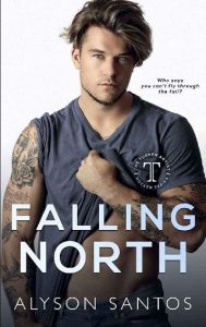 falling north, alyson santos