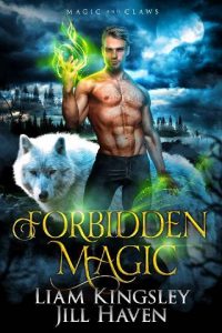 forbidden magic, liam kingsley