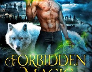 forbidden magic liam kingsley