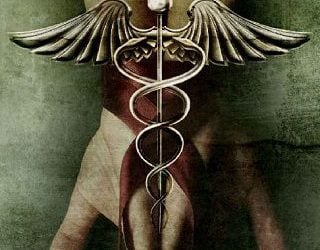 nocere max ellendale