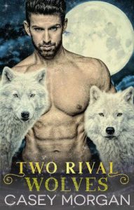 two rival wolves, casey morgan