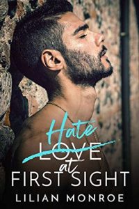 Love/Hate: The Complete Series by Lilian Monroe (ePUB, PDF ...