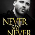 never say never felice stevens