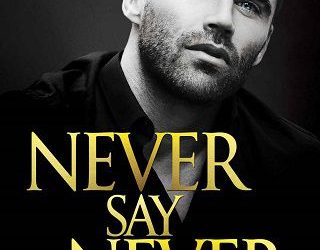 never say never felice stevens