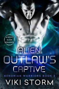 outlaw's captive, viki storm
