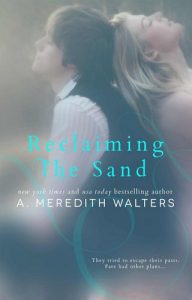 reclaiming sand, a meredith walters