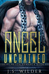 angel unchained, js wilder