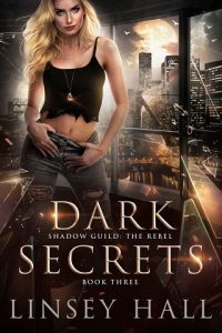 dark secrets, linsey hall