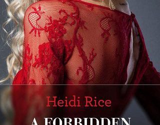 forbidden night heidi rice