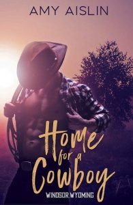home cowboy, amy aislin