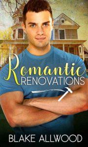 renovations, blake allwood
