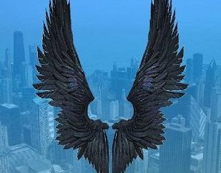 angel born dr rosier