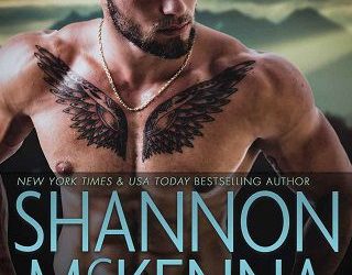 hellbent shannon mckenna