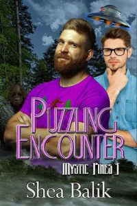 puzzling encounters, shea balik