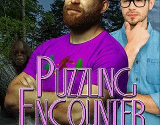 puzzling encounters shea balik