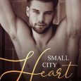 small city heart erin mclellan
