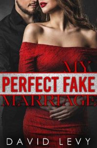 perfect fake marriage, david levy