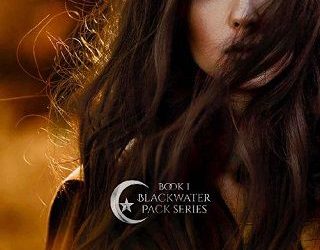 sanctum hannah mcbride