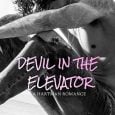 devil in elevator laura christopher