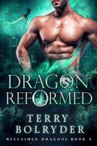 dragon reformed, terry bolryder