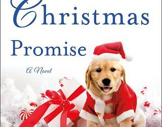 heartfelt christmas nancy naigle