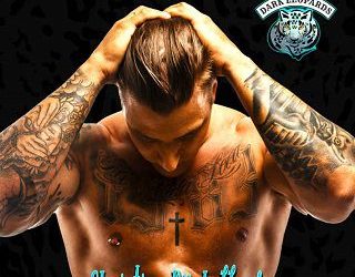 ridden darkness christine michelle