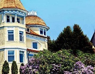 under renovation julie brookman