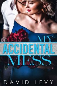 accidental mess, david levy