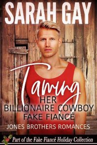 taming billionaire, sarah gay