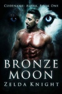 bronze moon, zelda knight