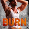 burn for me vi summers